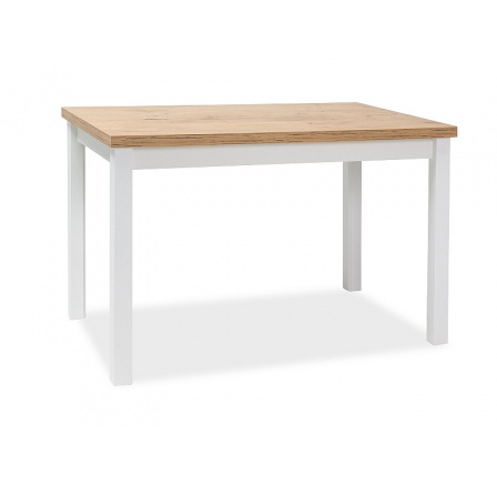 ADAM TABLE LANCELOT / WHITE MAT 100x60